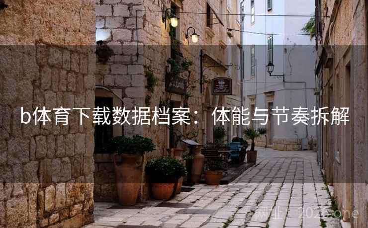 b体育下载数据档案：体能与节奏拆解