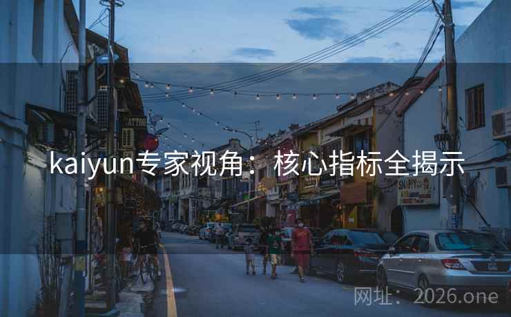 kaiyun专家视角:核心指标全揭示