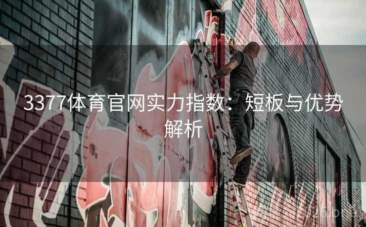 3377体育官网实力指数：短板与优势解析