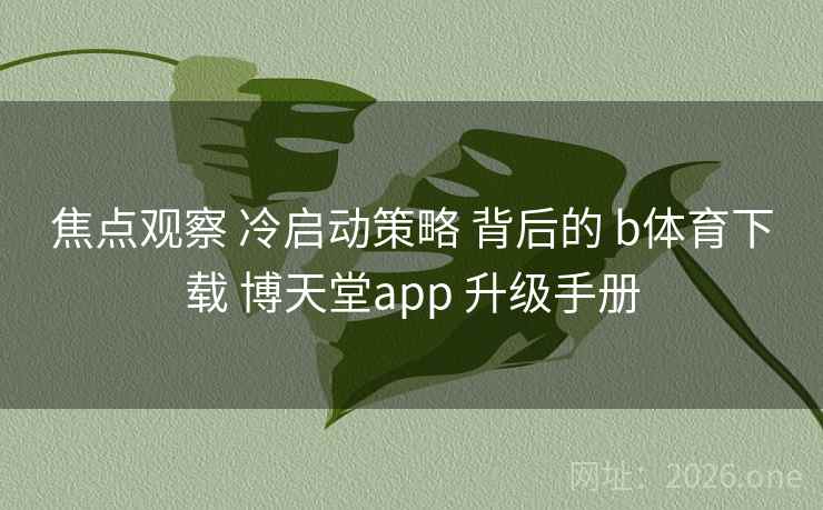 焦点观察 冷启动策略 背后的 b体育下载 博天堂app 升级手册