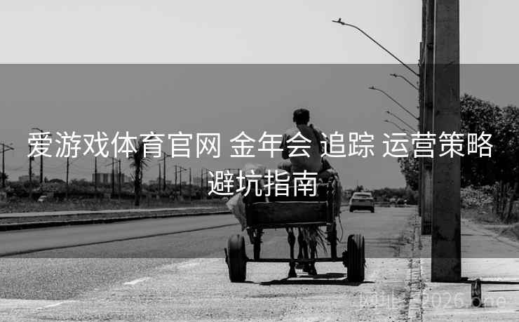 爱游戏体育官网 金年会 追踪 运营策略 避坑指南