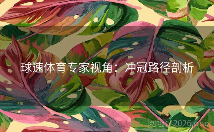 球速体育专家视角：冲冠路径剖析