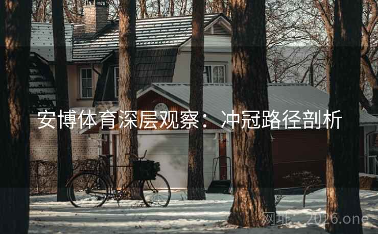 安博体育深层观察：冲冠路径剖析