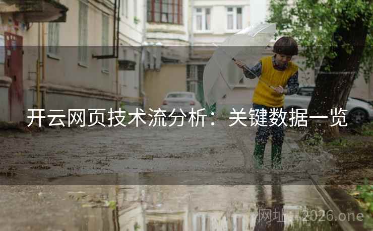 开云网页技术流分析：关键数据一览