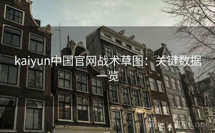 kaiyun中国官网战术草图:关键数据一览