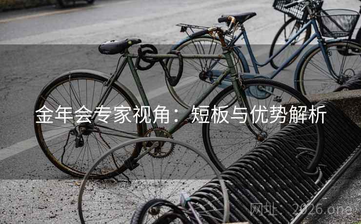 金年会专家视角:短板与优势解析