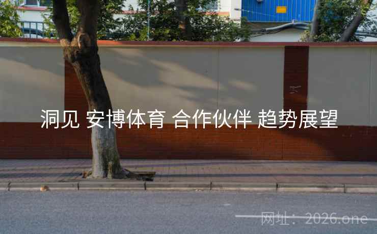 洞见 安博体育 合作伙伴 趋势展望 洞见 安博体育 合作伙伴 趋势展望