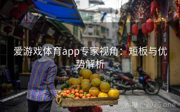 爱游戏体育app专家视角:短板与优势解析 爱游戏体育app专家视角:短板与优势解析