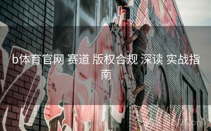 b体育官网 赛道 版权合规 深读 实战指南