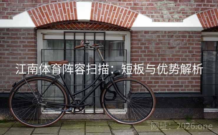 江南体育阵容扫描：短板与优势解析