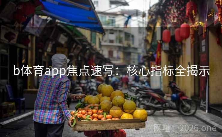b体育app焦点速写:核心指标全揭示