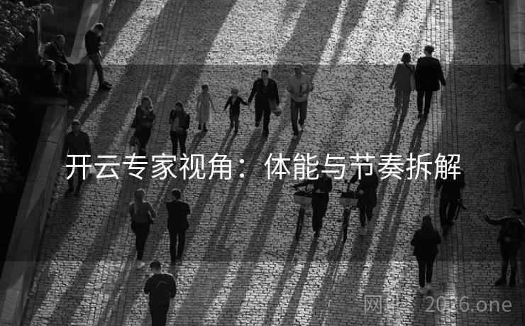 开云专家视角：体能与节奏拆解