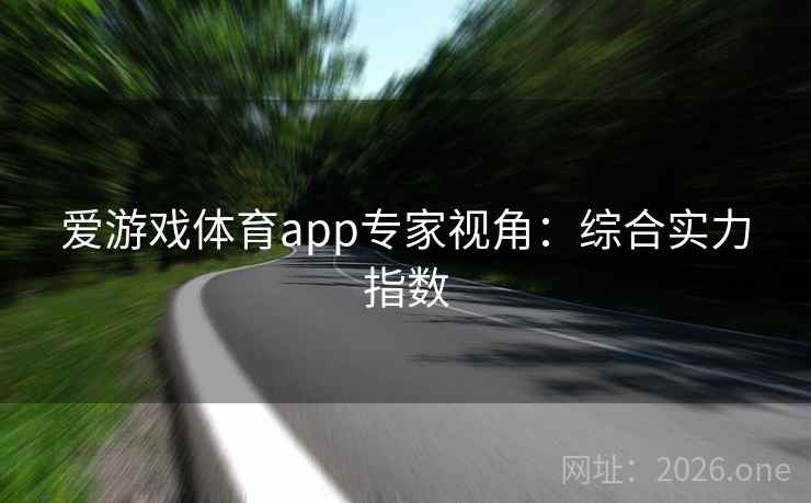 爱游戏体育app专家视角:综合实力指数