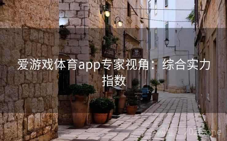 爱游戏体育app专家视角:综合实力指数 爱游戏体育app专家视角:综合实力指数