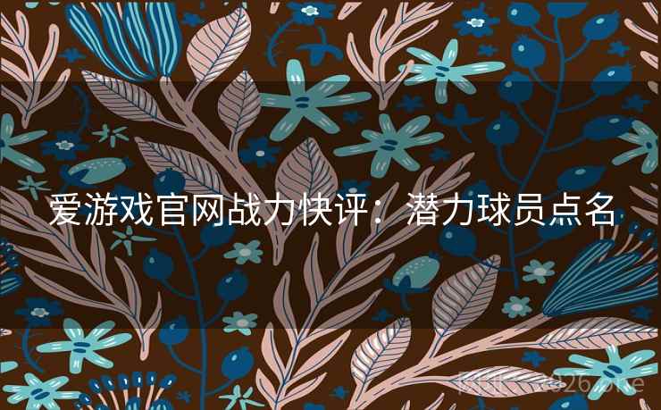 爱游戏官网战力快评:潜力球员点名