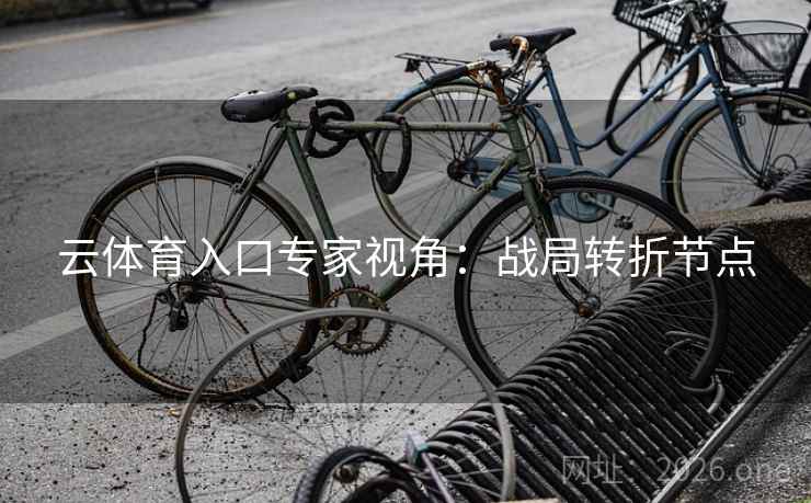 云体育入口专家视角:战局转折节点